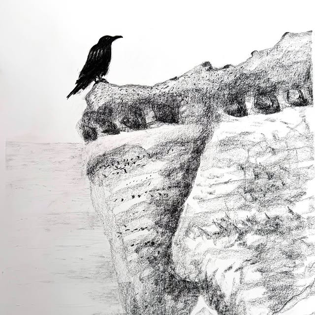 crow. charcoal on paper 2026 @ghostranchorg