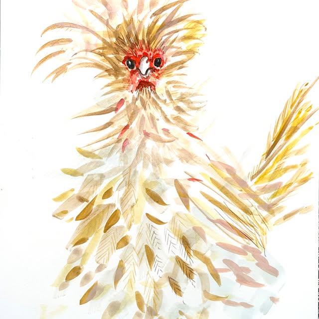 Apparently I did a lot of watercolor chicken sketches at @ghostranchorg . There was little working Wifi and my...