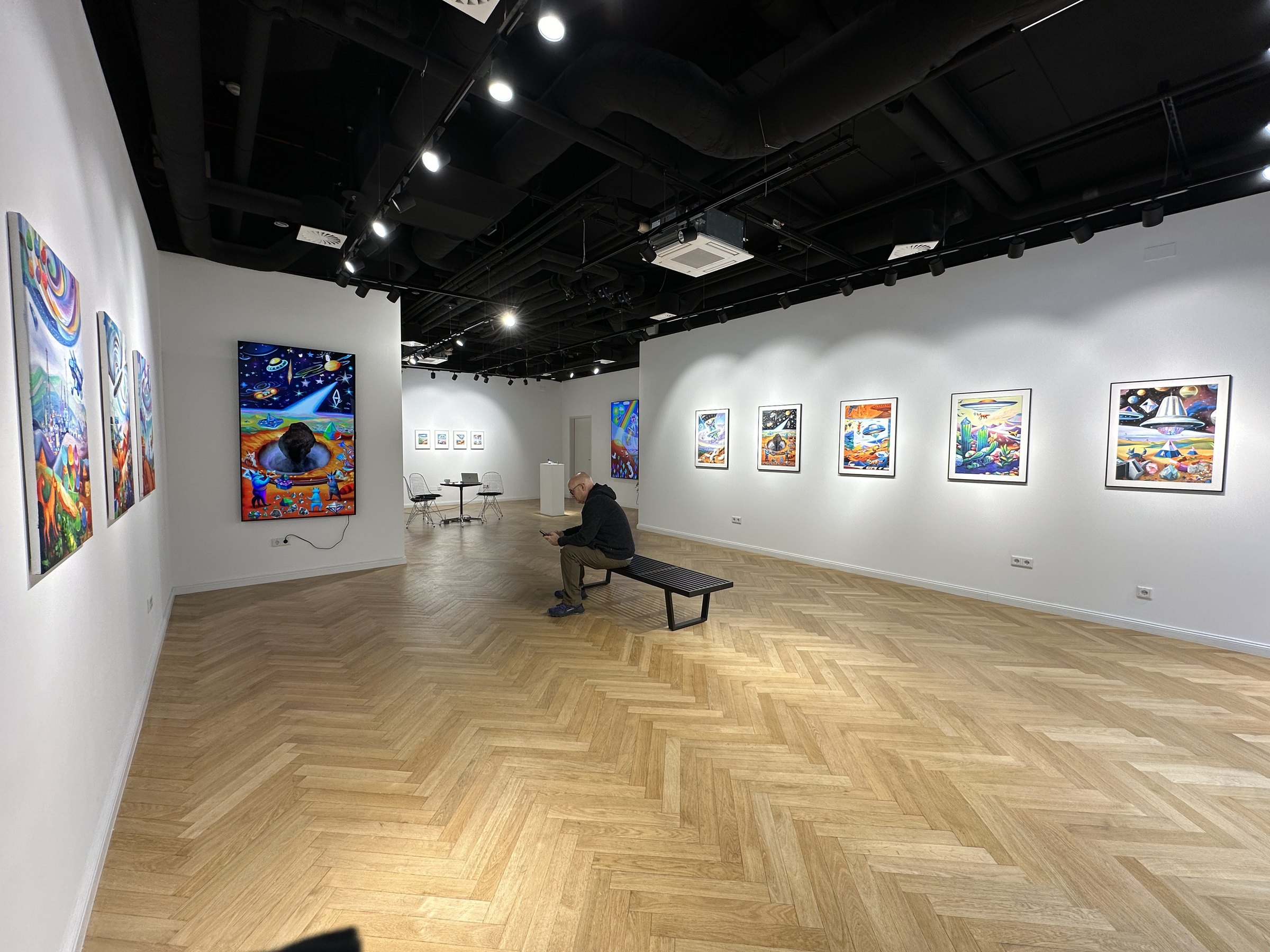 ART FOX installation view: the length of the gallery