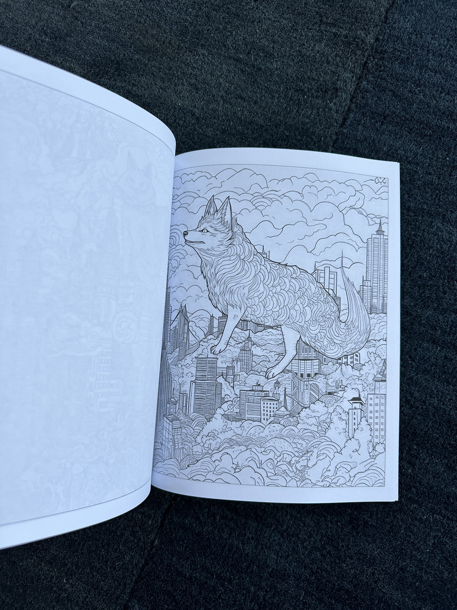 Future Foxes (Coloring Book)