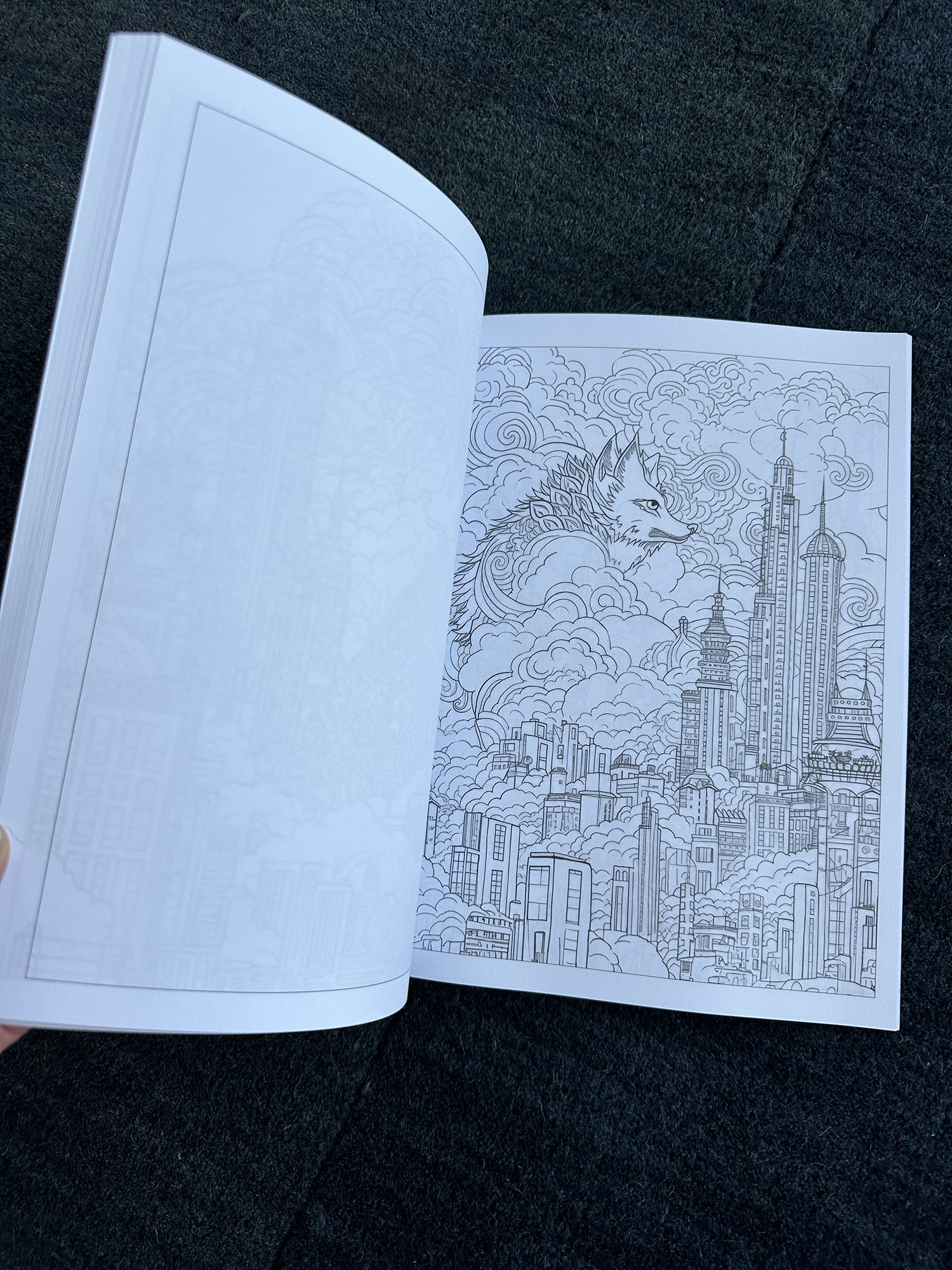 Future Foxes (Coloring Book)