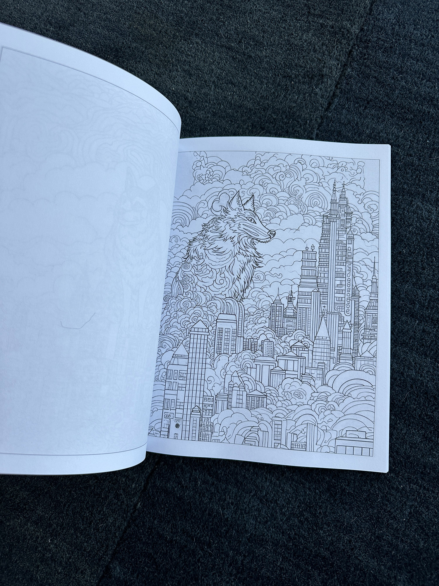 Future Foxes (Coloring Book)