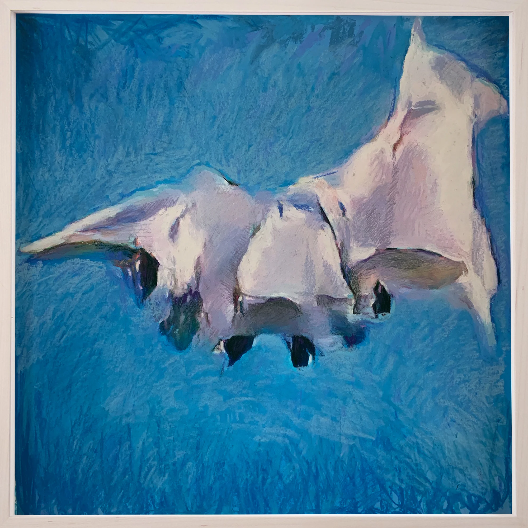 spalter frame pastels 7