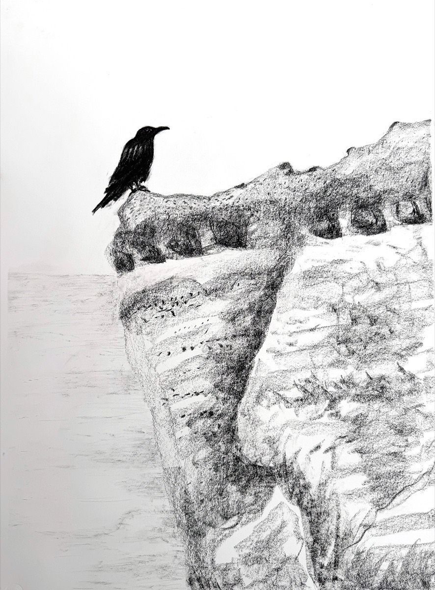 Crow, charcoal on paper