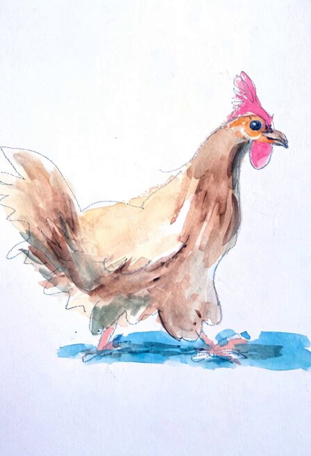 Chicken at @ghostranchorg . Traditional watercolor, animation via @imagine